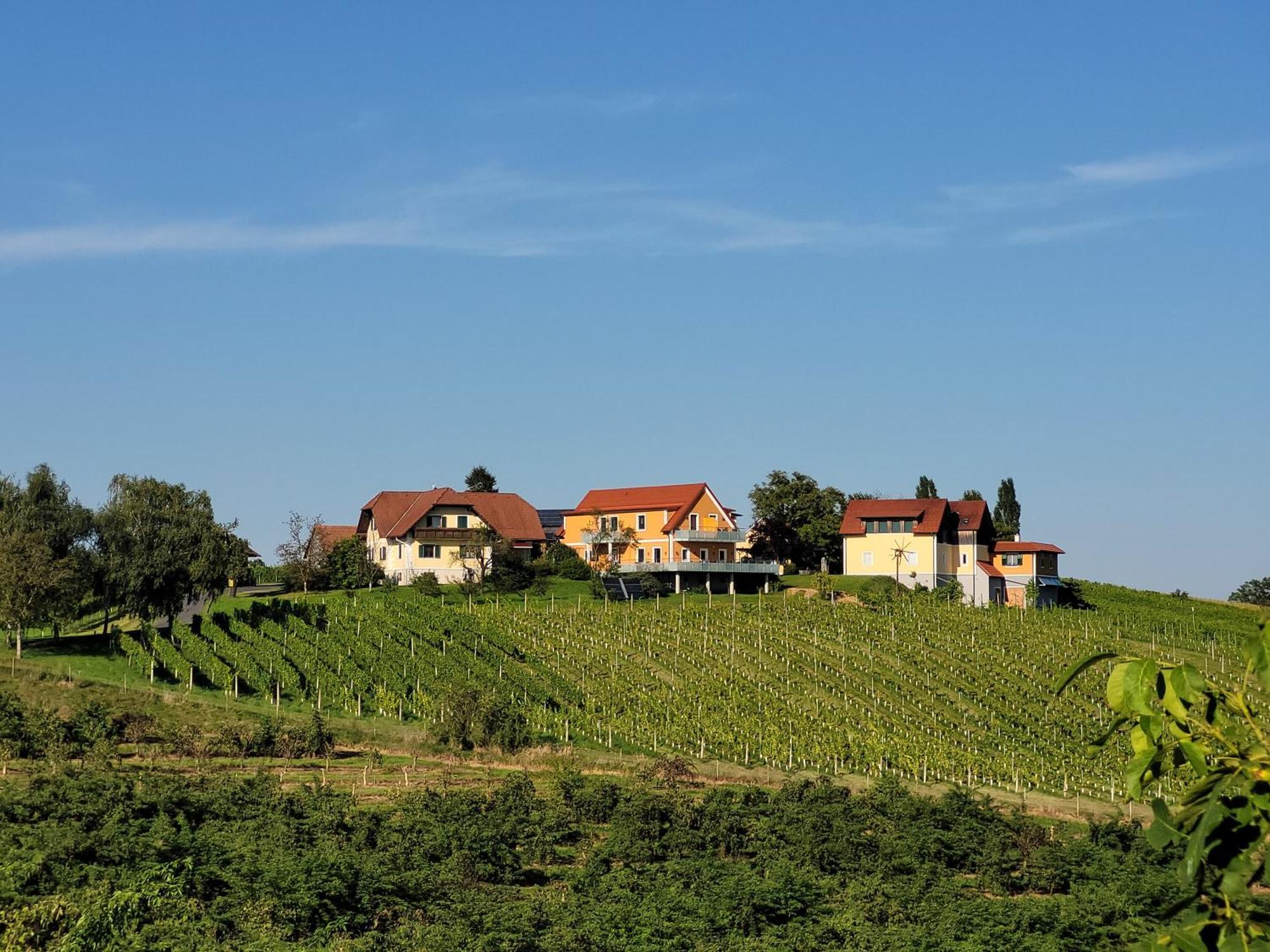 Weinhof Reichmann Acomodação com café da manhã Sankt Peter am Ottersbach Exterior foto